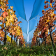 Image for article titled 48 Photos Of Autumn Around The World